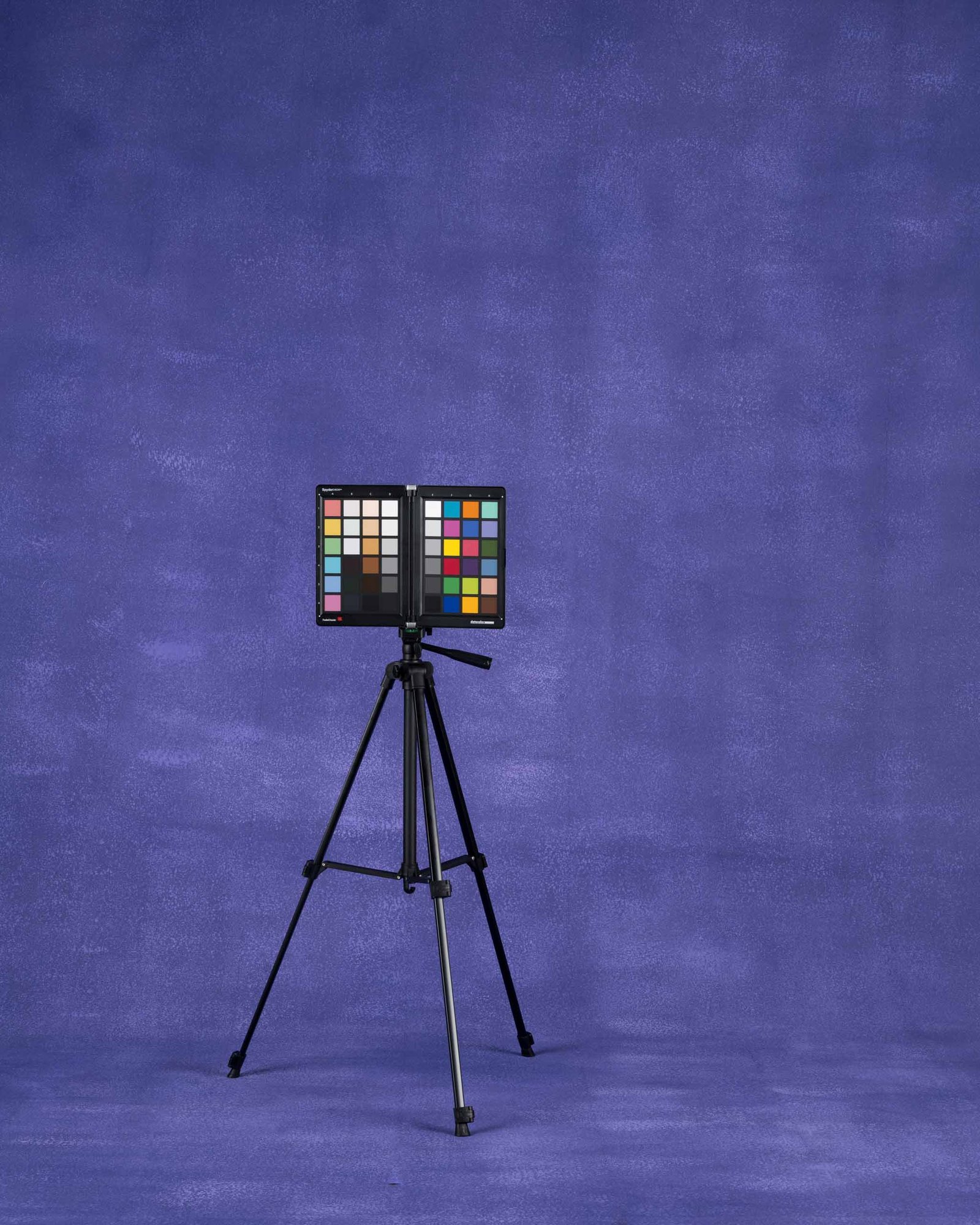 Baroque Studio Grape Purple Roller Handpainted Backdrop - Image 2