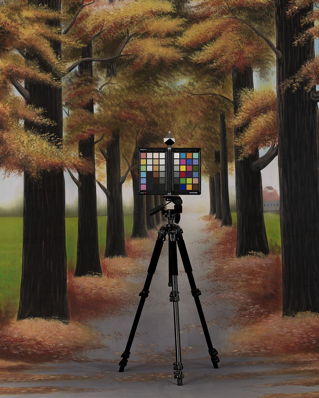 Backdrops4Ever Autumnal Path Scenic Photography Backdrop - Image 2