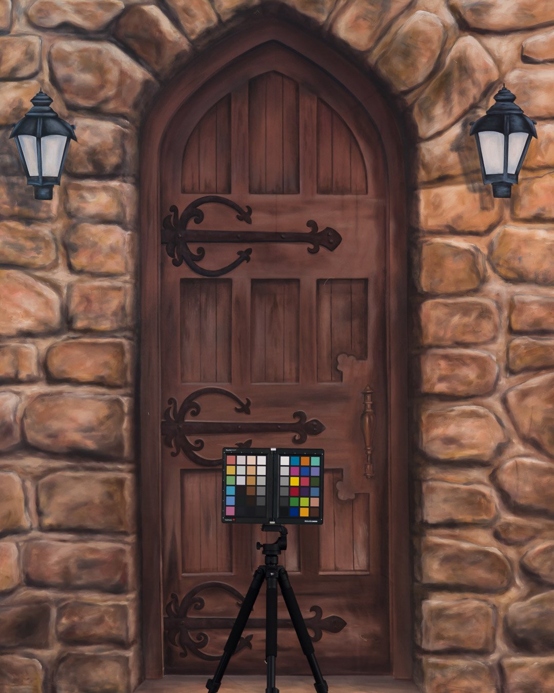 Backdrops4Ever Photo Video Studio Background - Castle Door - Image 4