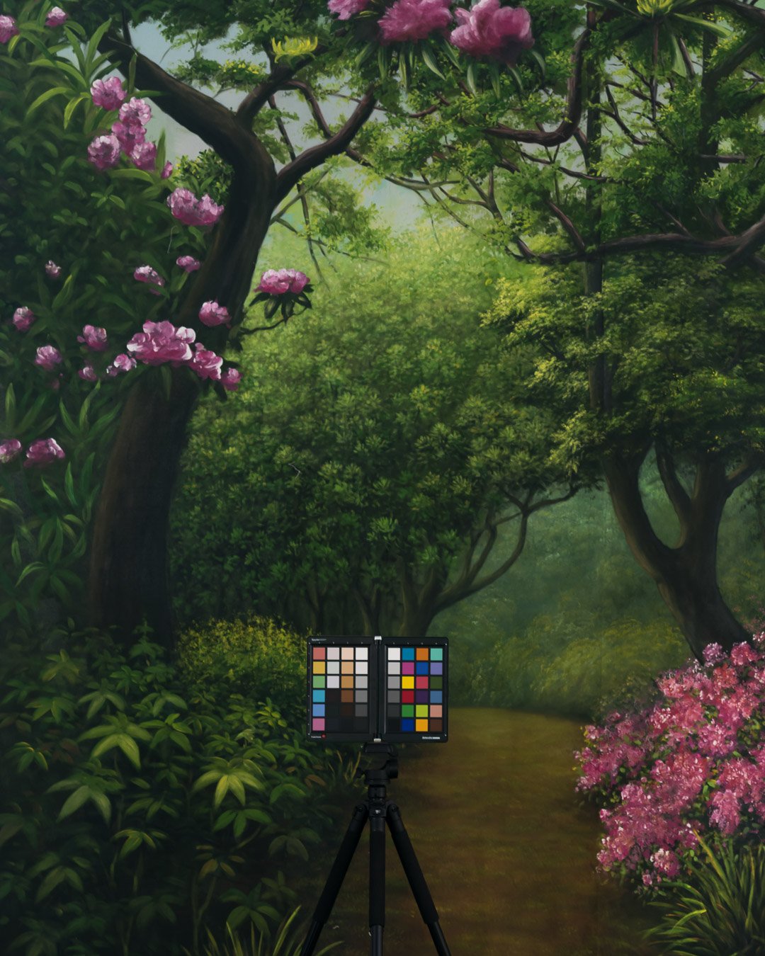 Backdrops4Ever Photo Video Studio Background - Spring Walk - Image 4