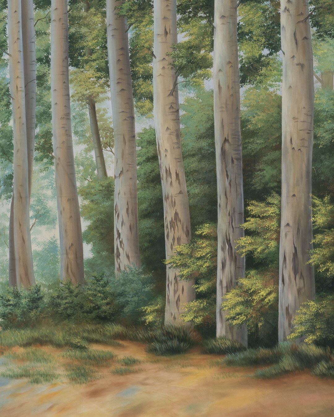 Backdrops4Ever Photo Video Studio Background - Redwood - Image 3