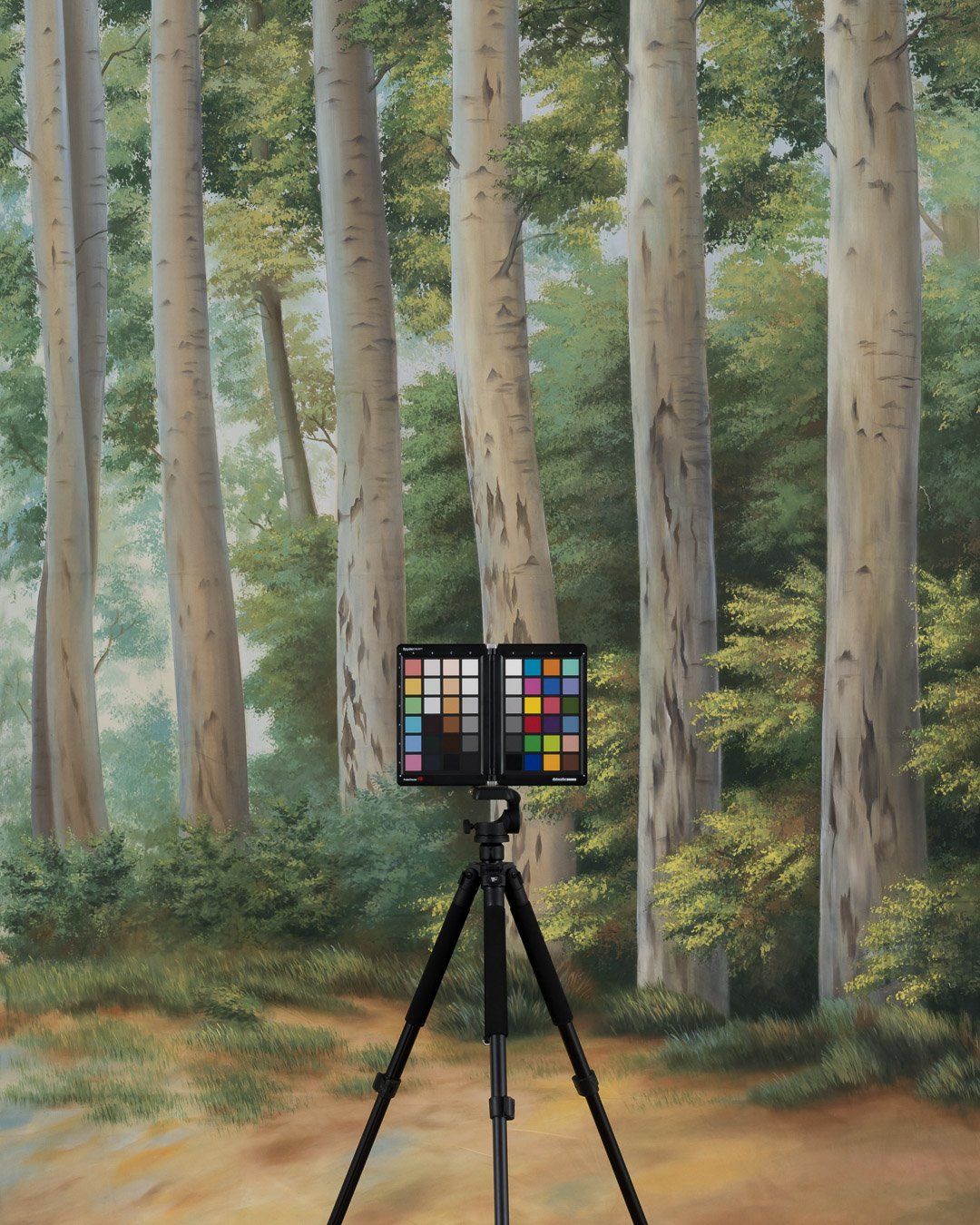 Backdrops4Ever Photo Video Studio Background - Redwood - Image 4